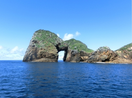 whangarei (76)